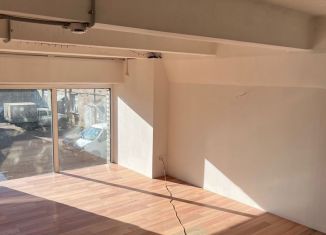 Сдача в аренду помещения свободного назначения, 60 м2, Санкт-Петербург, Якорная улица, 13, Красногвардейский район