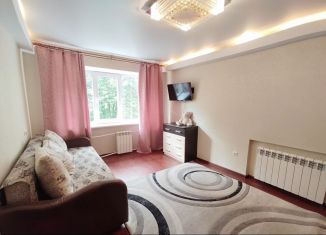 Сдается однокомнатная квартира, 30 м2, Республика Башкортостан, улица Мусоргского, 19А