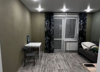 Сдам квартиру студию, 24.2 м2, Пермь, 2-я Нейвинская улица, 6