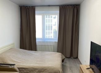 Сдаю 1-ком. квартиру, 38.6 м2, Ярославль, Чернопрудная улица, 39