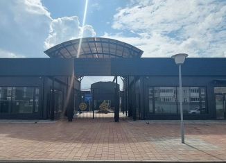 Сдам торговую площадь, 4000 м2, Красноярский край, Полтавская улица, 38/22