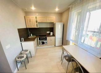 Сдам 1-комнатную квартиру, 30 м2, Татарстан, улица Александра Курынова, 10к2