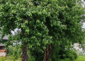 Продается дом, 65 м2, посёлок Суда, улица Ленина, 21А