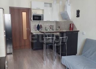 Продажа квартиры студии, 24 м2, Мурино, Охтинская аллея, 16, ЖК Мой Город