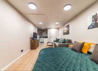 Аренда двухкомнатной квартиры, 55 м2, Санкт-Петербург, улица Чайковского, 43, метро Маяковская