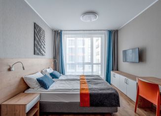 Квартира на продажу студия, 22.8 м2, посёлок Парголово, Толубеевский проезд, 8к2