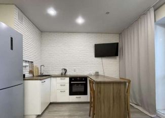 Сдается в аренду квартира студия, 25 м2, Тюмень, Верхнетарманская улица, 1