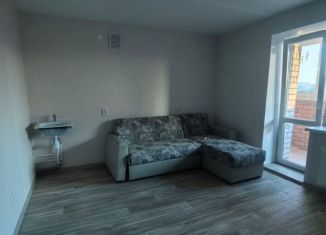 Сдаю квартиру студию, 24.9 м2, Череповец, Остинская улица, 23