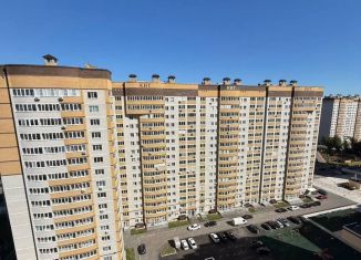 2-комнатная квартира на продажу, 71.3 м2, Воронеж, улица Лётчика Филипова, 6, ЖК Спутник