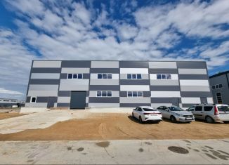 Производство в аренду, 1296 м2, Ленинградская область, дорога на Мендсары, 10