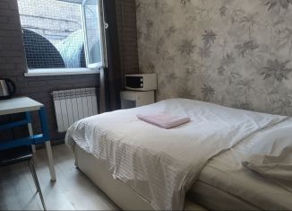 Сдам квартиру студию, 12 м2, Санкт-Петербург, Старо-Петергофский проспект, 26Б