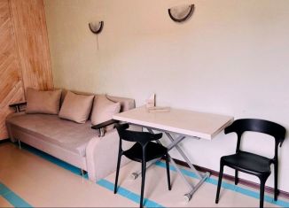 Продаю квартиру студию, 16.2 м2, Москва, Новопоселковая улица, 9Б