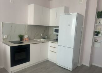 Сдам в аренду квартиру студию, 32 м2, Республика Башкортостан, Айская улица, 39