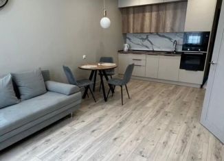 Сдаю в аренду однокомнатную квартиру, 45 м2, Татарстан, улица Мансура Хасанова, 13