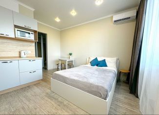 Сдаю квартиру студию, 33 м2, Татарстан, улица Бари Галеева, 8Ак1