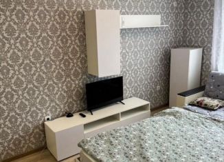 Продается однокомнатная квартира, 37 м2, Краснодар, Колхозная улица, 5, микрорайон Табачная Фабрика