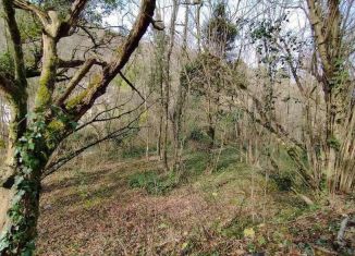 Продажа земельного участка, 26.6 сот., Краснодарский край, Лесная улица