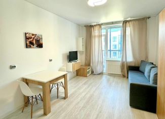 Аренда квартиры студии, 24 м2, Санкт-Петербург, проспект Ветеранов, 200, метро Юго-Западная