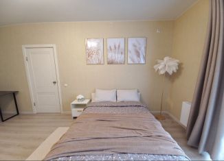 Сдам однокомнатную квартиру, 45 м2, Белгород, улица Попова, 35