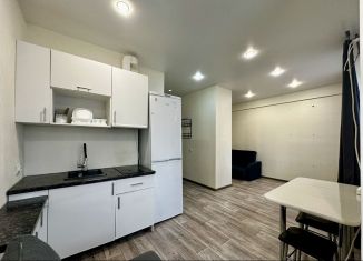 Сдам квартиру студию, 28 м2, Пенза, Ладожская улица, 144А