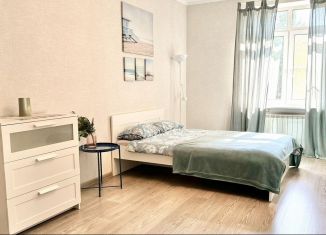 Сдам в аренду однокомнатную квартиру, 40 м2, Санкт-Петербург, Гаврская улица, 15