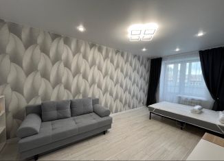 Сдается однокомнатная квартира, 44 м2, Йошкар-Ола, улица Зарубина