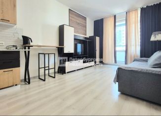 Продаю квартиру студию, 24.7 м2, Санкт-Петербург, Арцеуловская аллея, 21, ЖК Чистое Небо