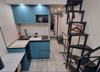 Квартира на продажу студия, 19 м2, Санкт-Петербург, Кронверкская улица, 9