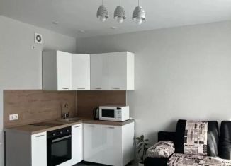 Сдается квартира студия, 31 м2, Татарстан, улица Ярышлар, 2