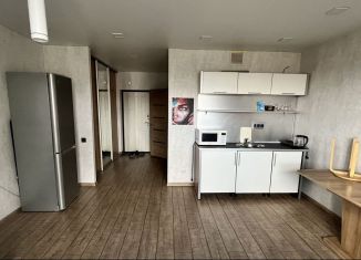 Сдам квартиру студию, 45 м2, Татарстан, улица Рауиса Гареева, 111к2