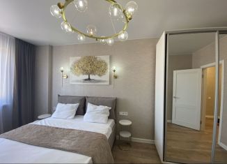 Сдается в аренду однокомнатная квартира, 41 м2, Ростов-на-Дону, Горсоветская улица