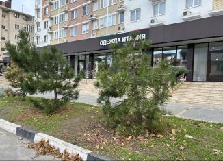 Продаю торговую площадь, 151 м2, Краснодарский край, Владимирская улица, 55В
