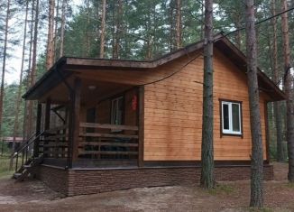 Аренда дома, 55 м2, посёлок при железнодорожной станции Лосево