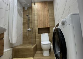 Сдается в аренду 1-комнатная квартира, 293 м2, Татарстан, улица Комаровка, 7Б