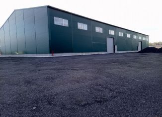 Сдача в аренду производства, 1495 м2, Ленинградская область, территория Промышленной зоны Пигелево, 13