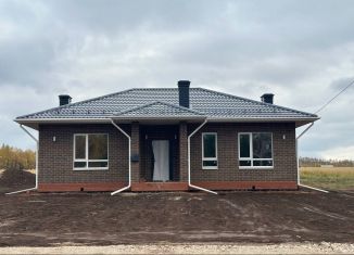 Продается дом, 97 м2, Татарстан, Каштановая улица