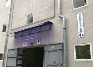 Гараж в аренду, 22 м2, Самарская область, Молодёжная улица, 4А