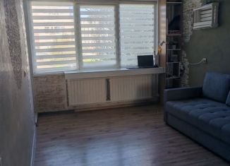 Аренда однокомнатной квартиры, 33 м2, Санкт-Петербург, улица Лётчика Пилютова, 48, Красносельский район