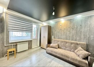 Однокомнатная квартира в аренду, 25 м2, Ростов-на-Дону, Орбитальная улица, 66/6