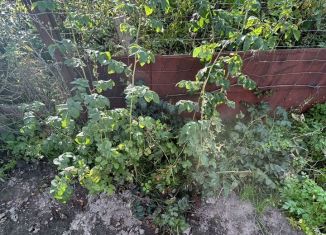 Продам дачу, 30 м2, Зеленодольск, садоводческое товарищество Гари-2, 120