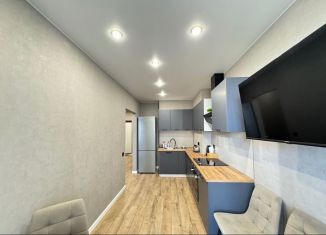 Сдаю в аренду 1-комнатную квартиру, 41 м2, Ростов-на-Дону, улица Ларина, 45с11