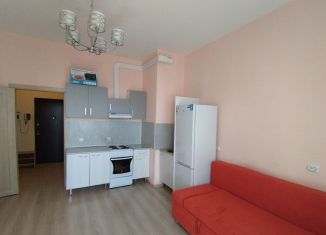 Сдача в аренду квартиры студии, 25 м2, Мурино, бульвар Менделеева, 11к4, ЖК Юпитер