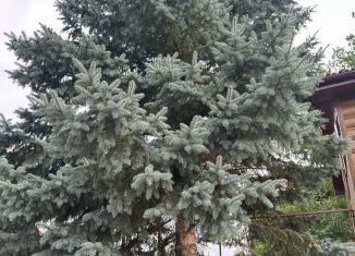 Продам дом, 160 м2, Татарстан, Лесная улица, 41