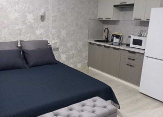 Сдам в аренду квартиру студию, 30 м2, Ростов-на-Дону, улица 26-я Линия, 35/2