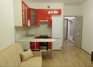 Сдается в аренду квартира студия, 25.3 м2, Мурино, бульвар Менделеева, 13, ЖК Гринландия