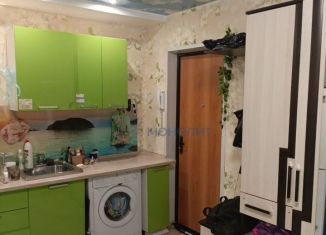 Продаю квартиру студию, 16.5 м2, Нижний Новгород, Берёзовская улица, 108