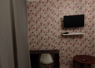 Аренда 2-комнатной квартиры, 45 м2, Санкт-Петербург, улица Литераторов, 17Б