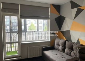 Продается квартира студия, 24.3 м2, Санкт-Петербург, проспект Ветеранов, 196, ЖК Солнечный Город. Резиденции