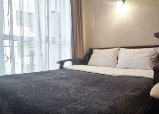 Сдам в аренду квартиру студию, 15.9 м2, Сочи, Санаторная улица, 50БлитБ