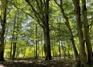 Продается земельный участок, 6 сот., Краснодарский край, Проточный переулок